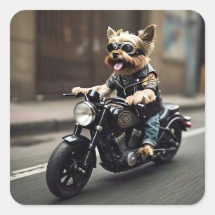 Carré Sticker pour moto Yorkie Riding