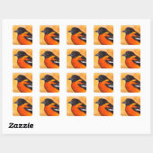 Carré Sticker pour oiseaux Oriole Baltimore (Feuille)