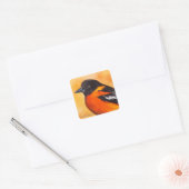 Carré Sticker pour oiseaux Oriole Baltimore (Enveloppe)