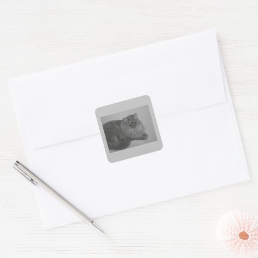 Carré Sticker pour poivre (Enveloppe)