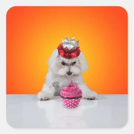 Carré Sticker Pup and Cupcake (Devant)
