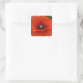 Carré Sticker Red Poppy (Sac)