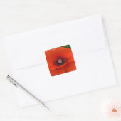 Carré Sticker Red Poppy (Enveloppe)