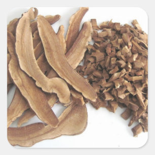 Carré Sticker Reishi Mushroom
