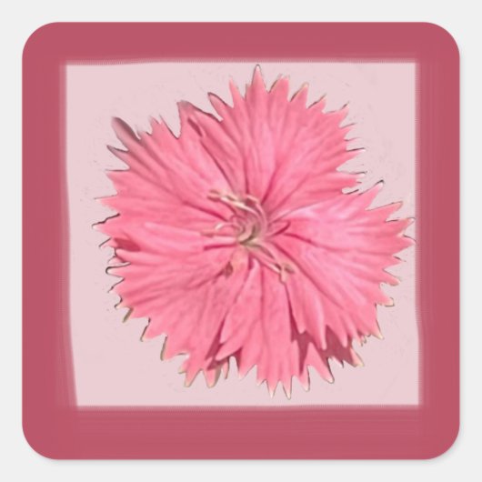 Carré Sticker rose Chine (Devant)