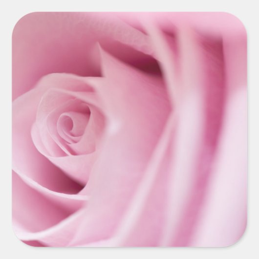 Carré Sticker rose et sceau d'enveloppe (Devant)