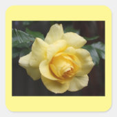 Carré Sticker rose jaune (Devant)