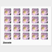 Carré Sticker rose sauvage (Feuille)