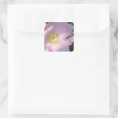 Carré Sticker rose sauvage (Sac)