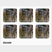 Carré Sticker (rottweiler) (Feuille)