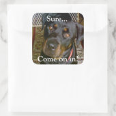Carré Sticker (rottweiler) (Sac)