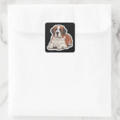 Carré Sticker Saint Bernard (Sac)