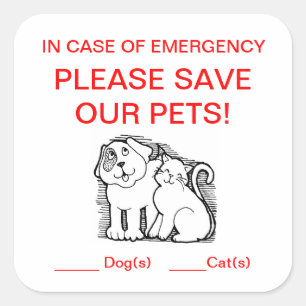 Carré Sticker Secourt animal