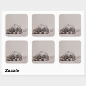 Carré Sticker Shih tzu Sleeping, Chien (Feuille)