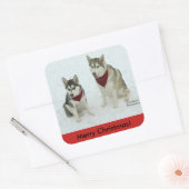 Carré sticker Siberian Husky Christmas (Enveloppe)