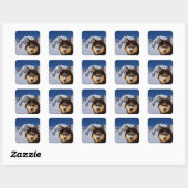 Carré Sticker Sibérien Husky (Feuille)