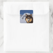 Carré Sticker Sibérien Husky (Sac)