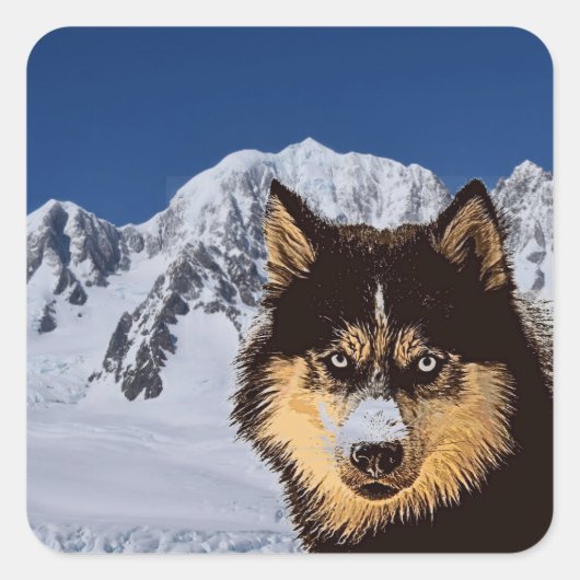 Carré Sticker Sibérien Husky (Devant)