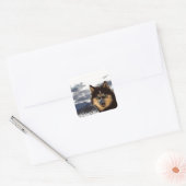 Carré Sticker Sibérien Husky (Enveloppe)