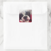 Carré Sticker Sleeping Boston Terrier (Sac)