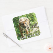 Carré Sticker Sumatran Tiger (Enveloppe)