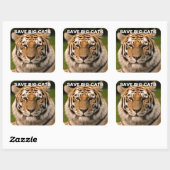 Carré Sticker Sumatran Tiger Portrait (Feuille)