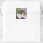 Carré Sticker Sweet Mia (Sac)