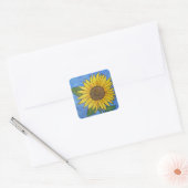 Carré Sticker tournesol (Enveloppe)