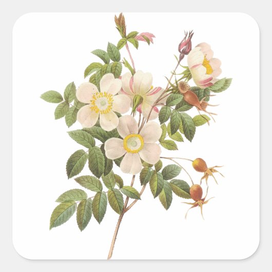 Carré Sticker vintage Floral (Devant)