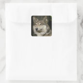 Carré Sticker Wolf (Sac)