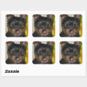 Carré Sticker Zach Pup (Feuille)