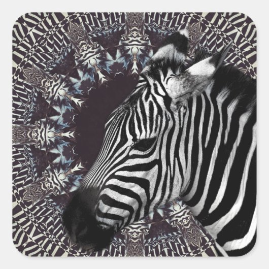 Carré Sticker Zebra Art (Devant)