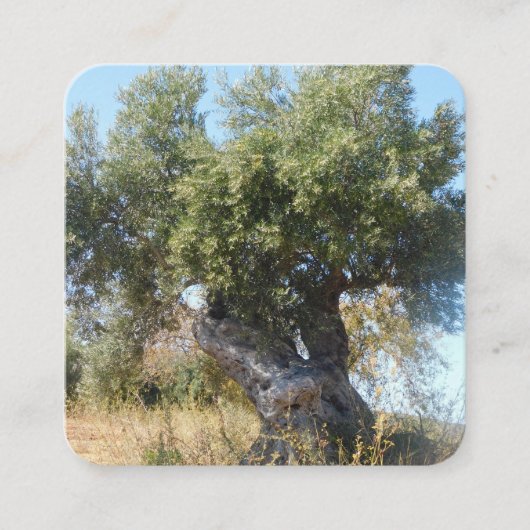 Carré Style design carte de visite (Devant)