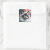 Carré Teddy Sticker pour chat Ragdoll (Sac)