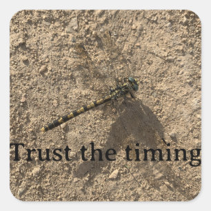Carré Trust the Timing Sticker
