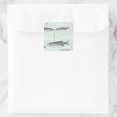 Carré Z pour Sticker à poisson-zèbre (Sac)