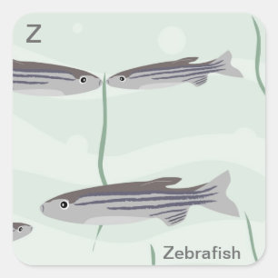 Carré Z pour Sticker à poisson-zèbre