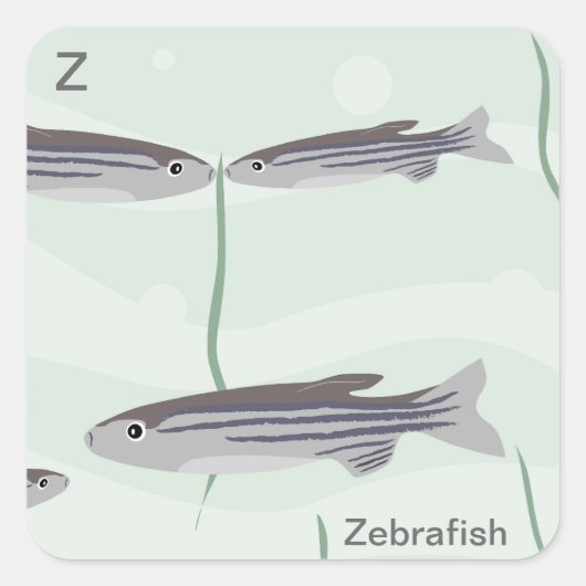 Carré Z pour Sticker à poisson-zèbre (Devant)
