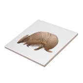 CARREAU アルマジロ (Côté)