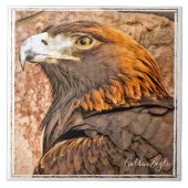 CARREAU ヌ シ (Devant)