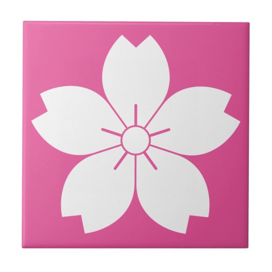 CARREAU 山桜 (Devant)