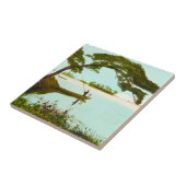 Carreau 松山市 de cru de Matsuyama Ehime Japon (Côté)