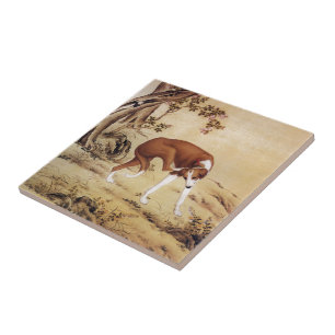 Carreau 金 Jinchixian 翅 猃 ~ Greyhound ~ Giuseppe Castiglion