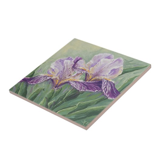 Carreau 0455 Iris pourpres (Côté)