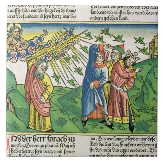 Carreau 10:1 d'exode - 20 les sept pestes de l'Egypte : le (Devant)