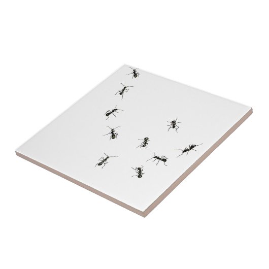 Carreau 10 fourmis (Côté)