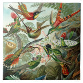 Carreau 12 oiseaux charmeurs américains peints (Devant)