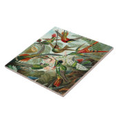 Carreau 12 oiseaux charmeurs américains peints (Côté)