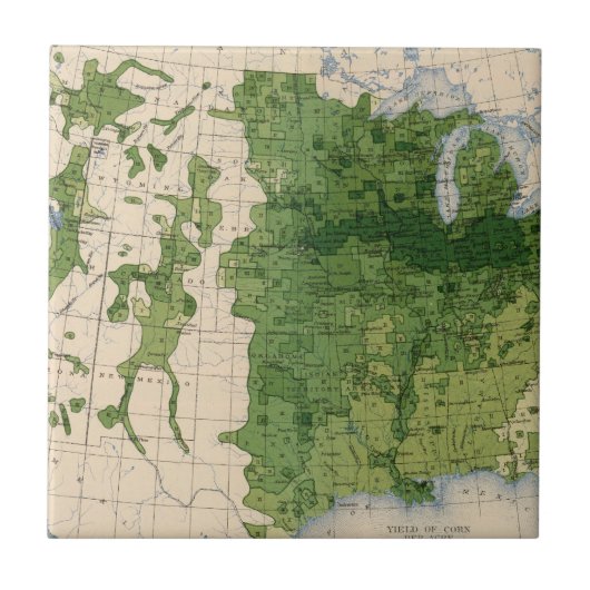 Carreau 155 maïs/acre (Devant)