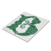 Carreau 16e Century Celtic Knot Decorative Capital B (Côté)